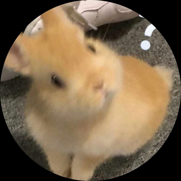 a_eriikooz